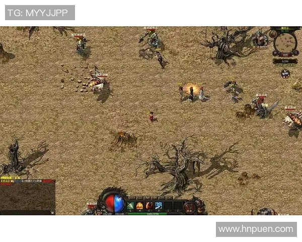 深度对话：探索周磊在王者荣耀中的成长与挑战之路